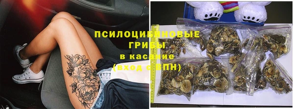 бутират Белокуриха