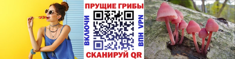 kraken tor  shop наркотические препараты  Галлюциногенные грибы MAGIC MUSHROOMS  Дальнегорск 