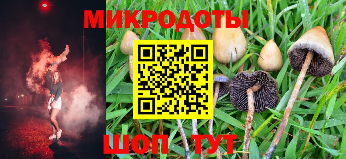 Галлюциногенные грибы прущие грибы Дальнегорск