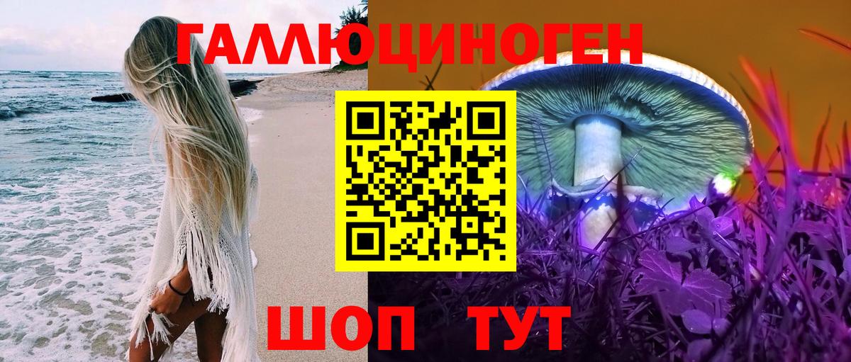Галлюциногенные грибы Psilocybe  Вход с VPN  Дальнегорск 