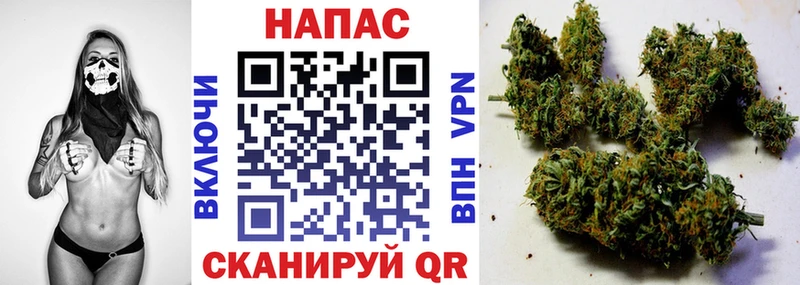 Каннабис индика Дальнегорск