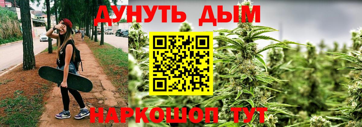 Марихуана план Дальнегорск